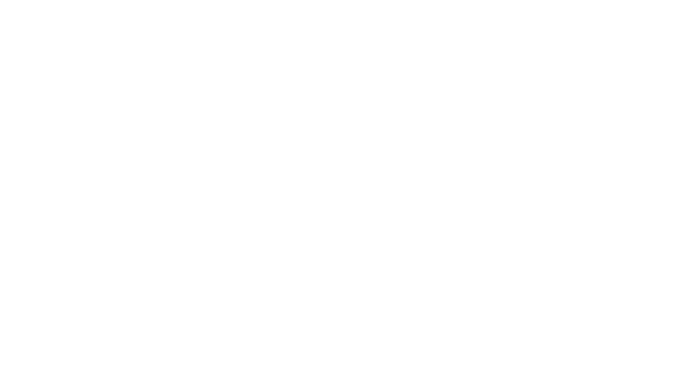 dessin oiseaux